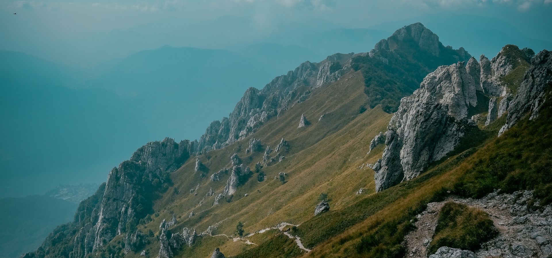 collection-banner-image